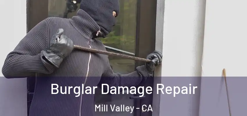  Burglar Damage Repair Mill Valley - CA