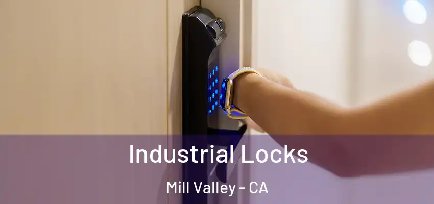 Industrial Locks Mill Valley - CA