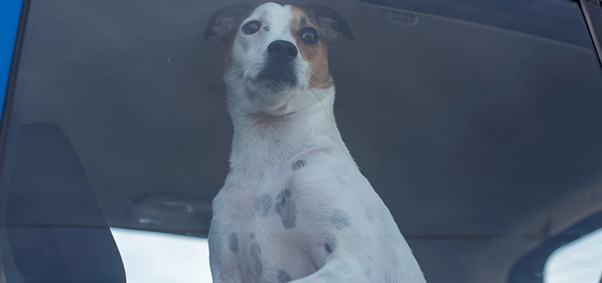 Car Lockout Solutions in Mill Valley, California