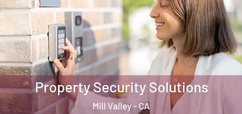 Property Security Solutions Mill Valley - CA